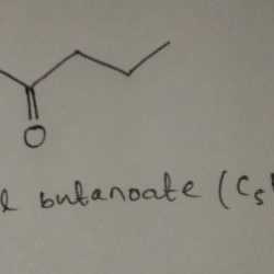 Draw question chemistry incorrect organic map structure leaming sapling presented sodium butanoate transcribed text show hint h3 exit solution answer