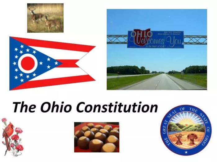 History of ohio's constitution icivics